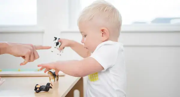Child playing with animals from the Montessori Animal Match toy