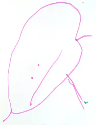 three-year-old drawing