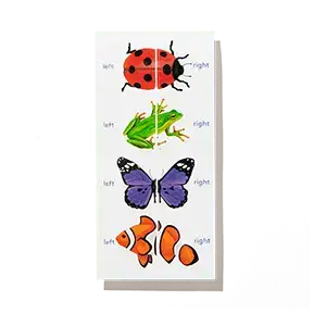 Left & Right Shoe Stickers from The Observer Play Kit