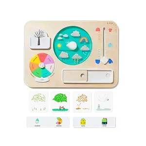 Plan Ahead Weather Board from The Observer Play Kit