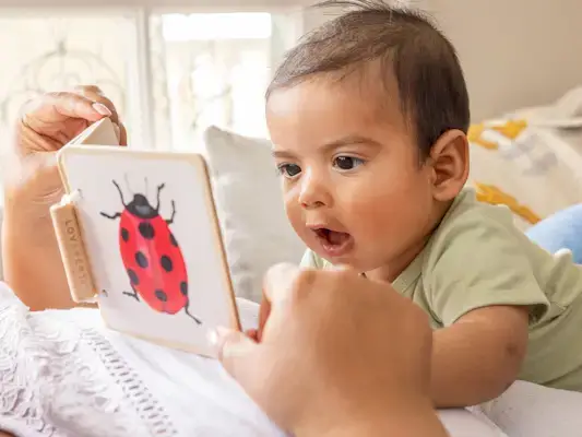 Baby looking at the Mommy's Reviews Animals Wooden Book