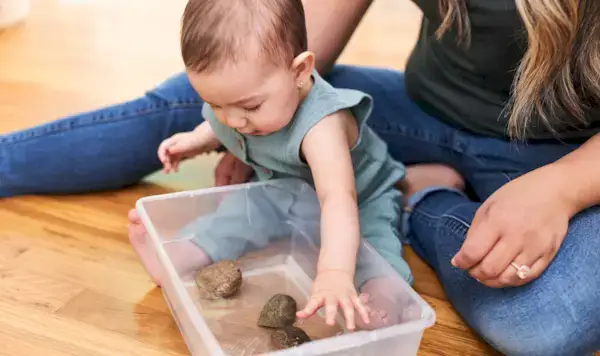 Child looking at rocks in a container