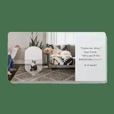 ‘Where is Crew’s Shoe?’ Board Book