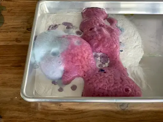 Tray of baking soda and vinegar which caused purple bubbles