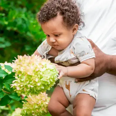 Child looking at flowers