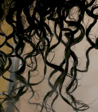 tracee-ellis-ross-pattern-beauty-review-282693-1569306686037-main