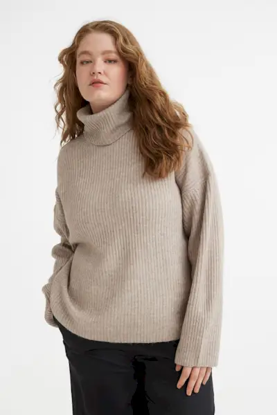 H&M + Oversized Turtleneck Sweater