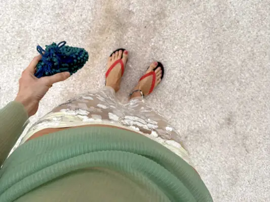 Style influencer Courtney Grow poses on a sandy beach wearing red The Row jelly flip-flop sandals, a shell anklet, a white sheer embroidered skirt with sequins, a knitted clutch, and sheer ribbed green top.