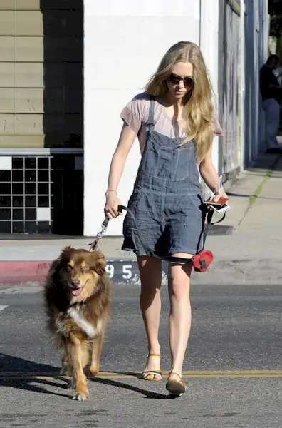 outfits-with-overall-shorts-256695-1525389421582-image