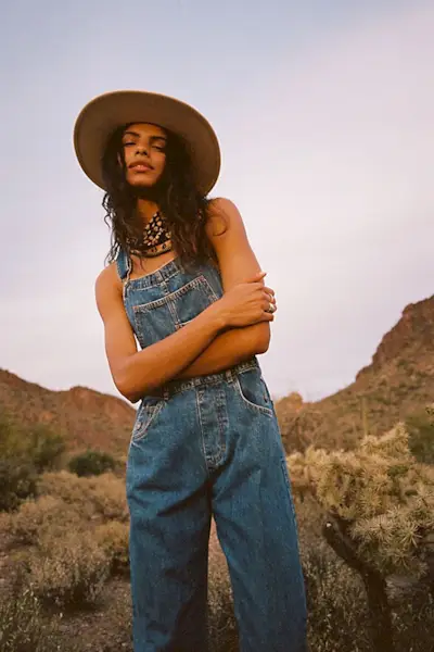 We the Free + Ziggy Denim Overalls