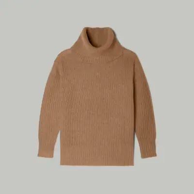 Everlane + The Alpaca Oversized Turtleneck