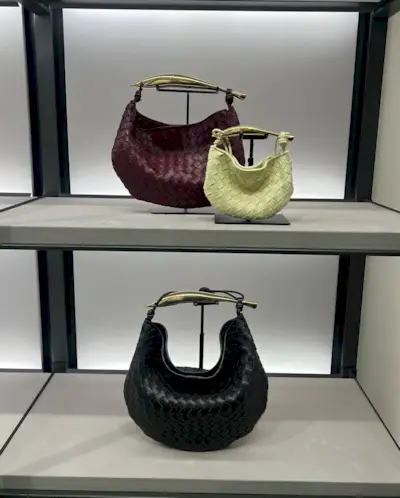 Bottega Veneta Sardine bag in burgundy, yellow, and black