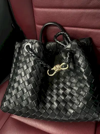 Bottega Andiamo bag in the large black iteration.
