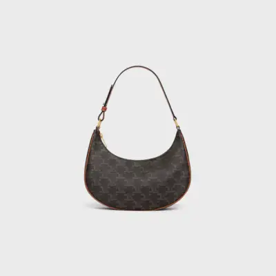 Ava Bag in Triomphe Canvas and Calfskin