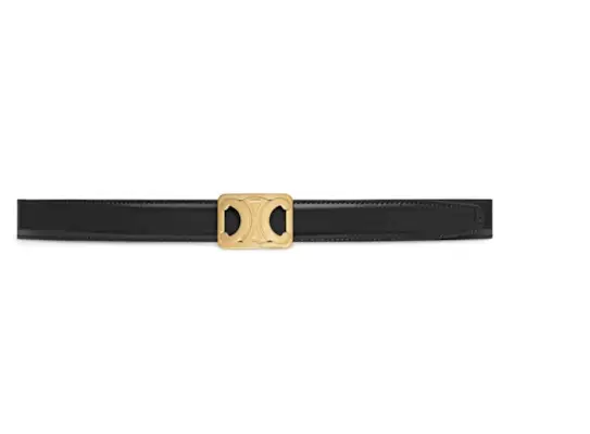 celine-triomphe-belt-297465-1643043242380-image