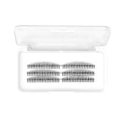 Kasha Lashes + Individual Flare Eyelashes