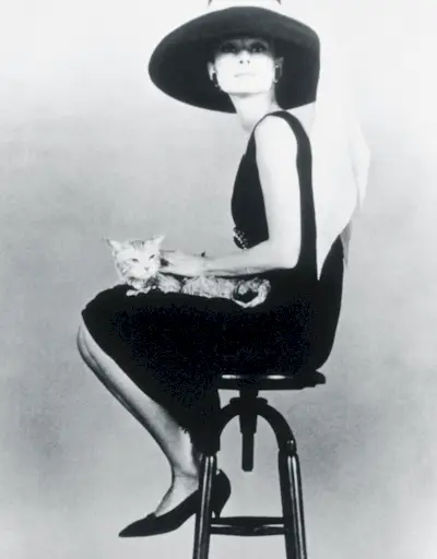 audrey-hepburn-style-get-her-look-2014-128959-1512570343753-image