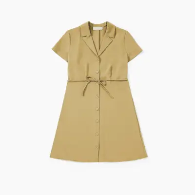 Everlane + The Japanese GoWeave Notch Shirtdress